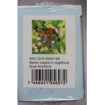 Diamant painting Vogelhuis.