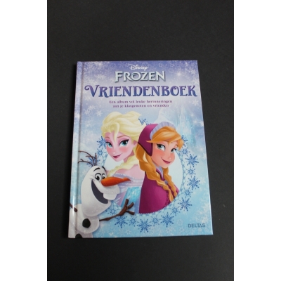 Vriendenboekje Frozen groot