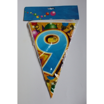 Vlaggenlijn 9 jaar 6 meter